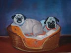 pugs